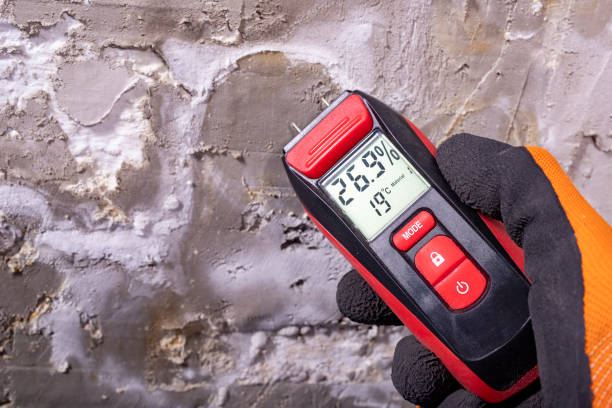 Professional Mold Removal in Washington, NJ