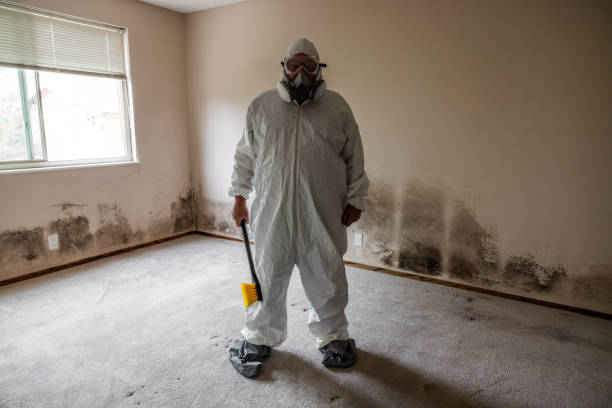 Best Toxic Mold Removal  in Washington, NJ